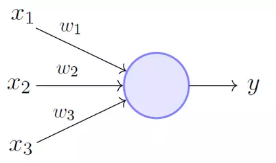 Perceptron diagram.